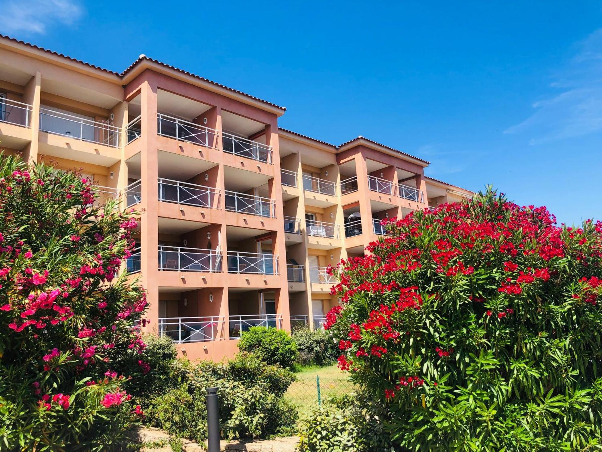 Superbe T2 Vue Mer - Piscine & Plage A 100M Ajaccio  Eksteriør billede