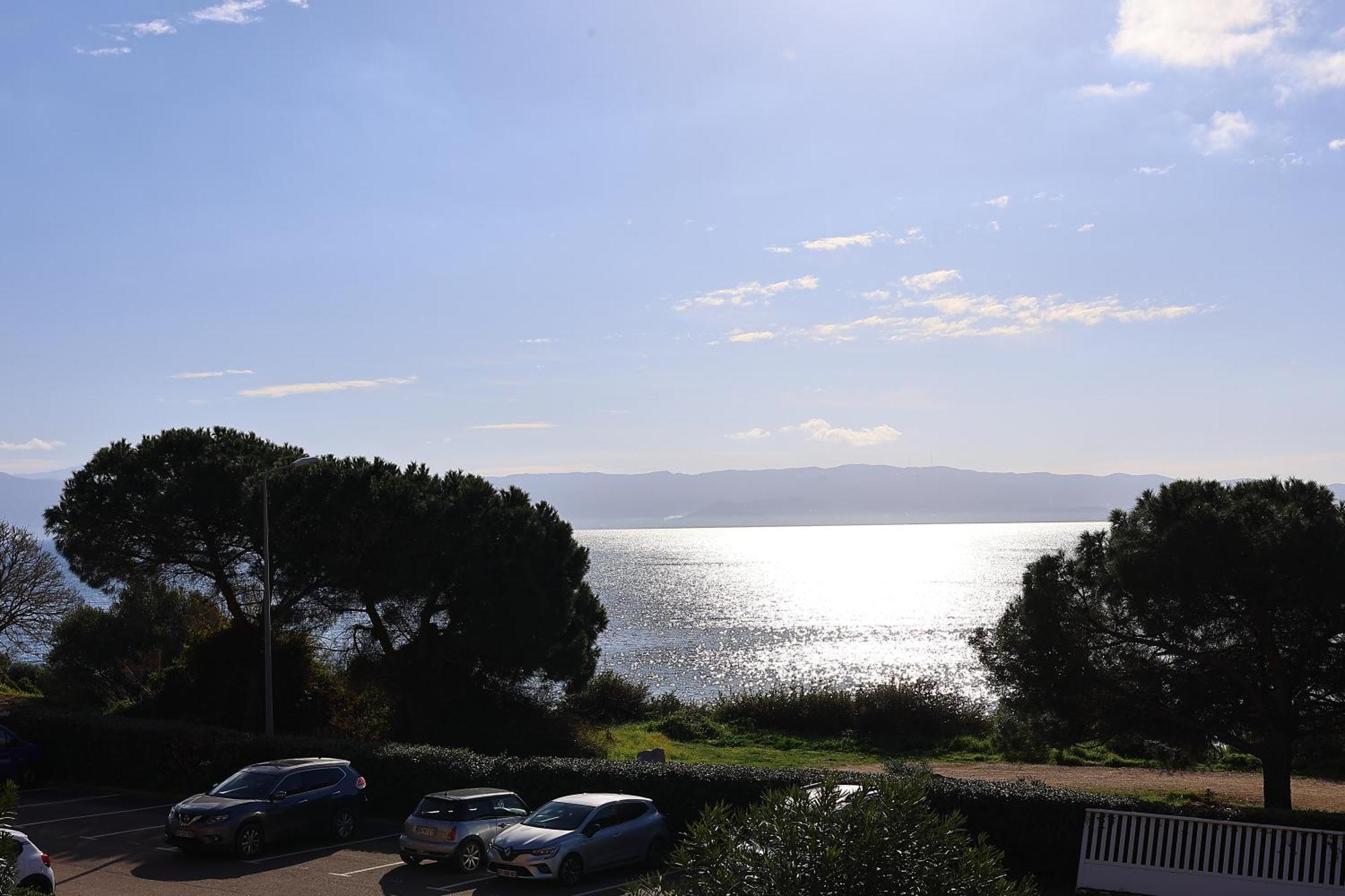Superbe T2 Vue Mer - Piscine & Plage A 100M Ajaccio  Eksteriør billede