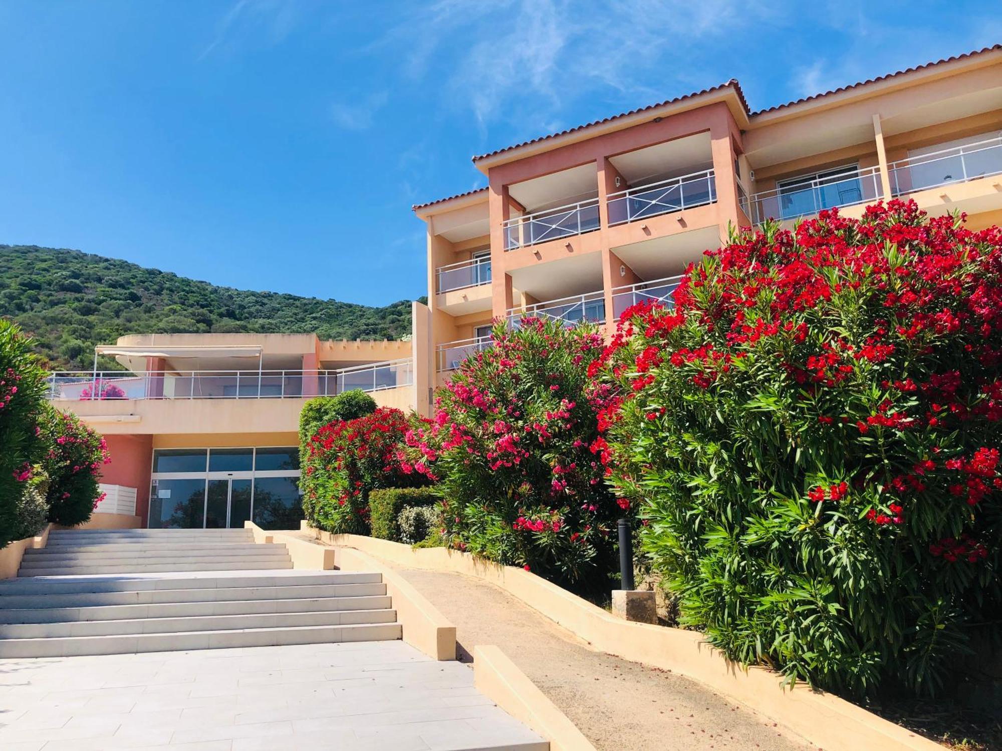 Superbe T2 Vue Mer - Piscine & Plage A 100M Ajaccio  Eksteriør billede